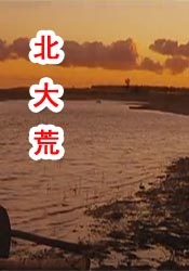 久久久99精品久久久